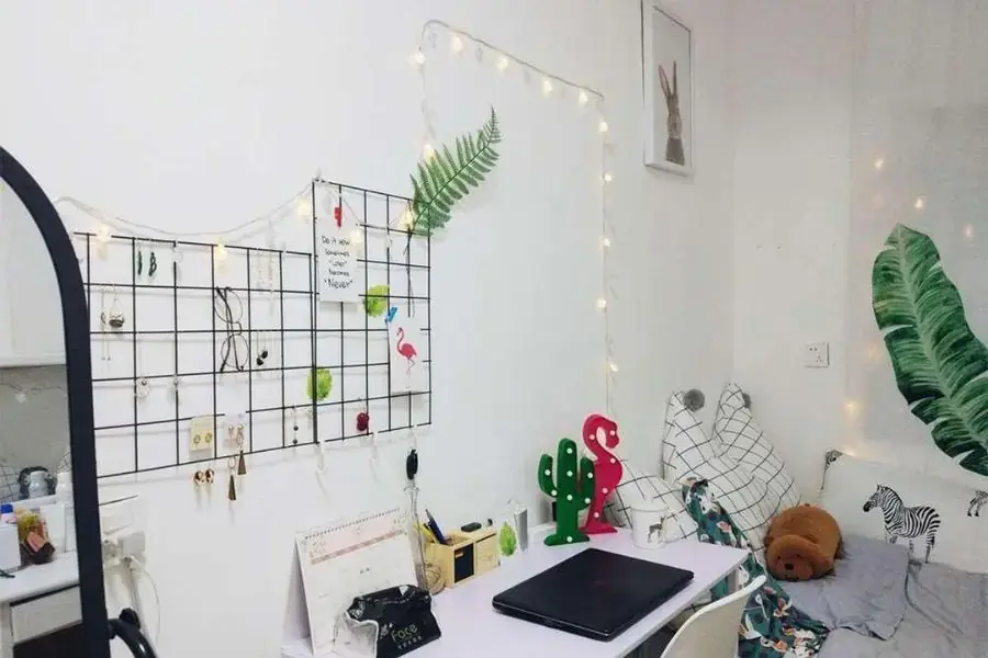 Khung lưới trang trí phòng trọ thu hút, đẹp mắt