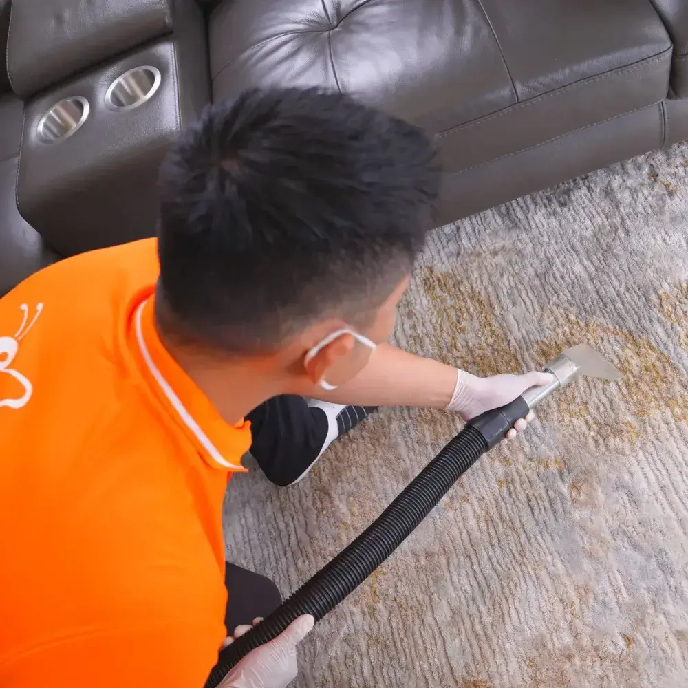 Office Carpet Cleaning Process