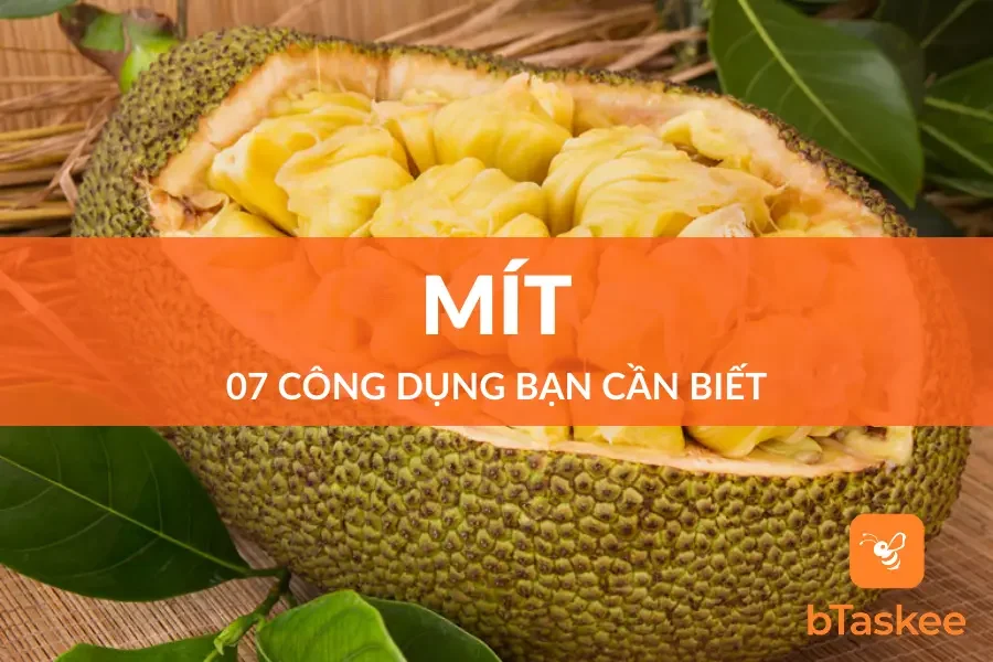 Quả Mít Và 7 Công Dụng Tốt Cho Sức Khỏe Bạn Cần Biết