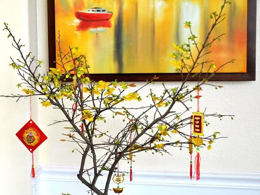 Cách Chọn Và Trang Trí Cây Mai Ngày Tết Hút Tài Lộc Cho Gia Chủ