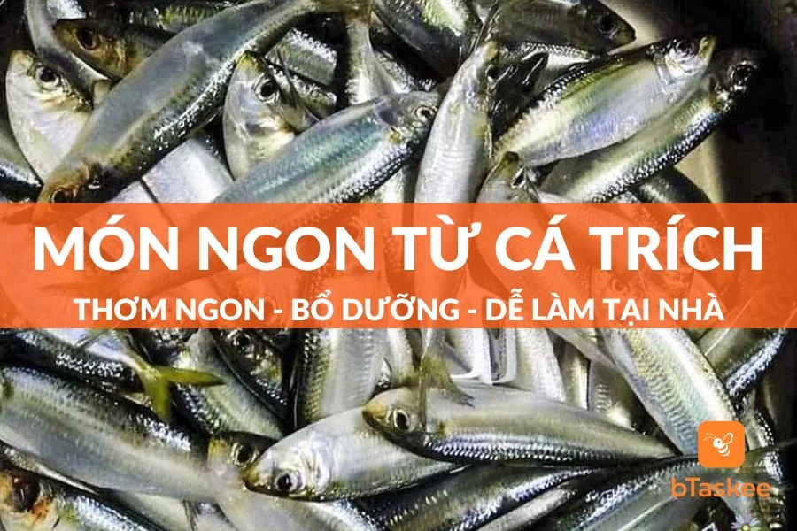 Cá Trích Làm Món Gì Ngon? 8 Món Siêu Hấp Dẫn Từ Cá Trích