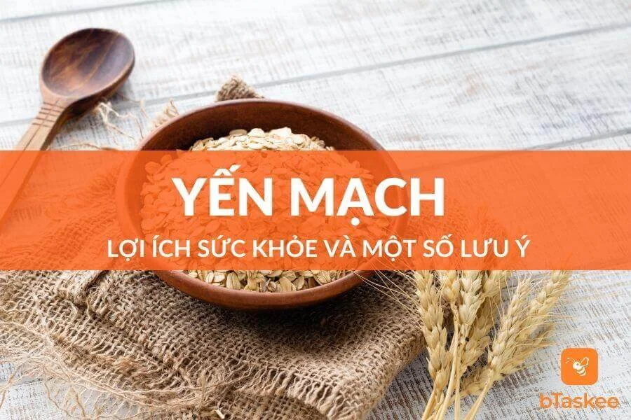 Yến Mạch: Lợi Ích Đối Với Sức Khỏe Và Một Số Điều Lưu Ý