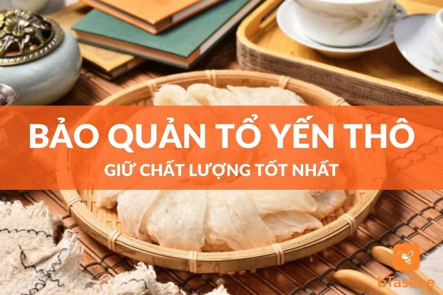 Cách Bảo Quản Tổ Yến Thô Giữ Chất Lượng Tốt Nhất