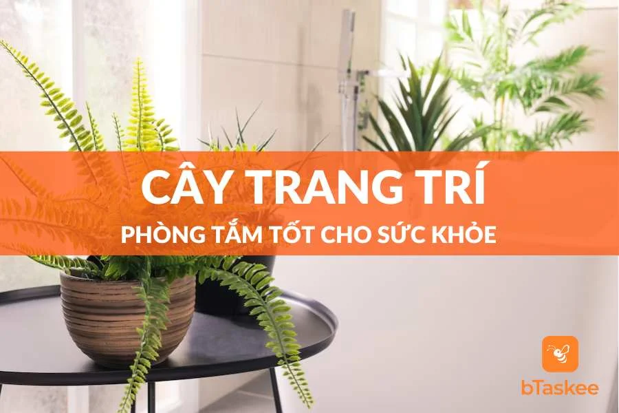 Các Loại Cây Trang Trí Phòng Tắm Và Những Lưu Ý