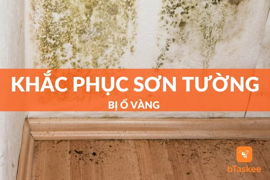 Cách Khắc Phục Sơn Tường Bị Ố Vàng Đơn Giản Hiệu Quả