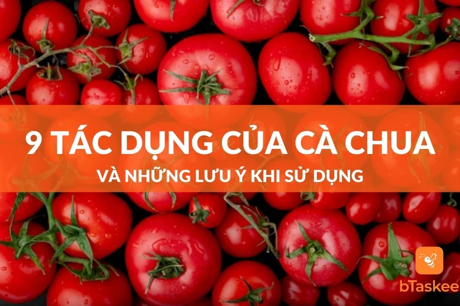 9 Tác Dụng Của Cà Chua Và Những Lưu Ý Khi Sử Dụng