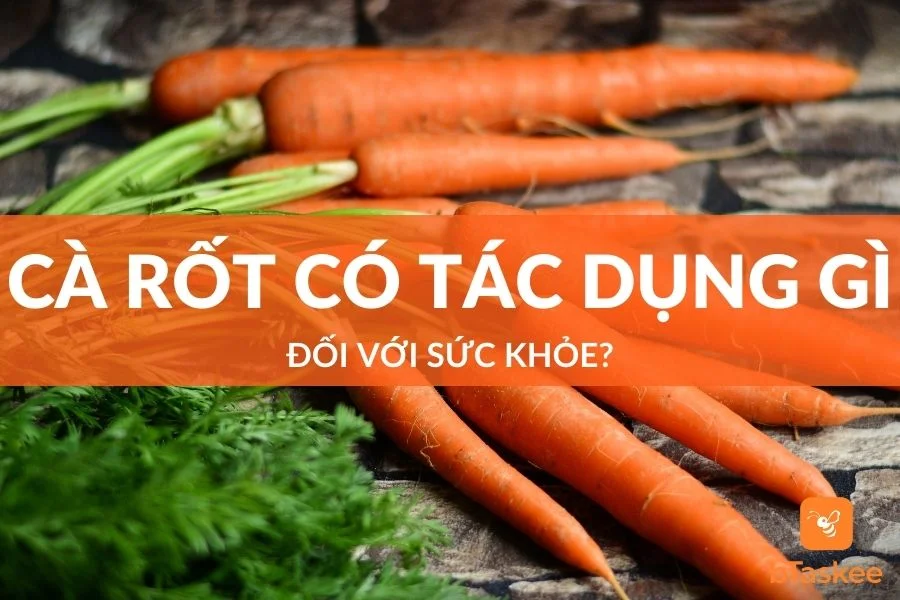 Ăn Cà Rốt Có Tác Dụng Gì Đối Với Sức Khỏe?