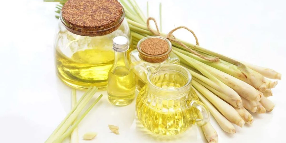 Hướng Dẫn Cách Làm Tinh Dầu Sả Đơn Giản Tại Nhà.