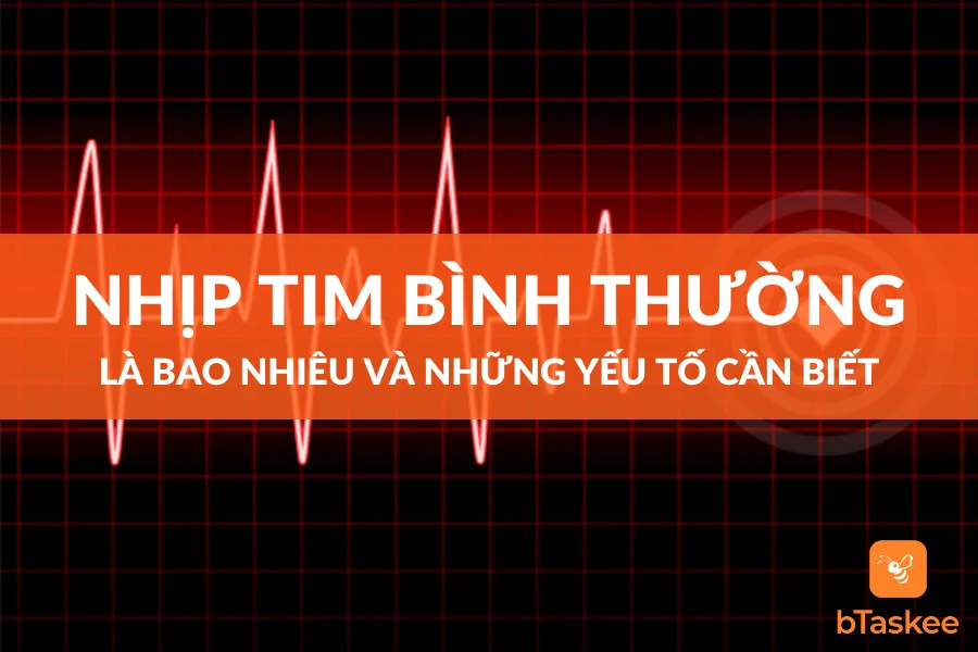 Nhịp Tim Bình Thường Và Những Yếu Tố Cần Biết
