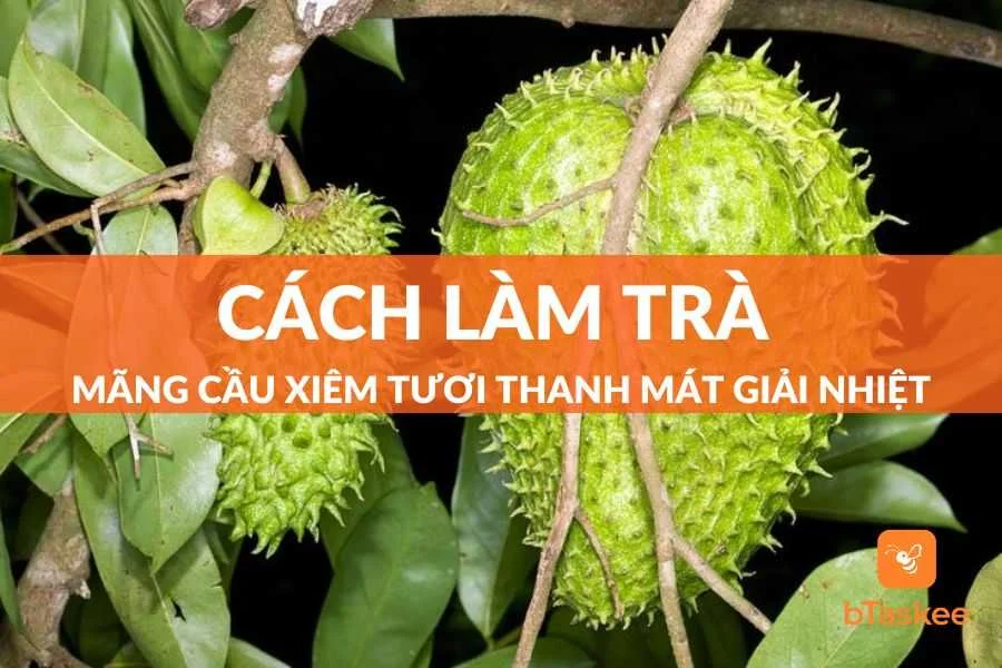 Cách Làm Trà Mãng Cầu Xiêm Tươi Thanh Mát Giải Nhiệt