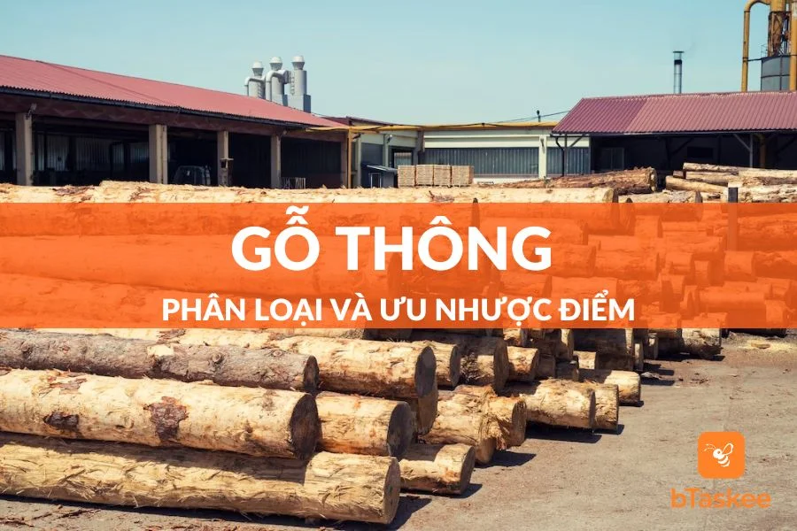Tất Tần Tật Về Gỗ Thông Và Những Điều Bạn Cần Biết