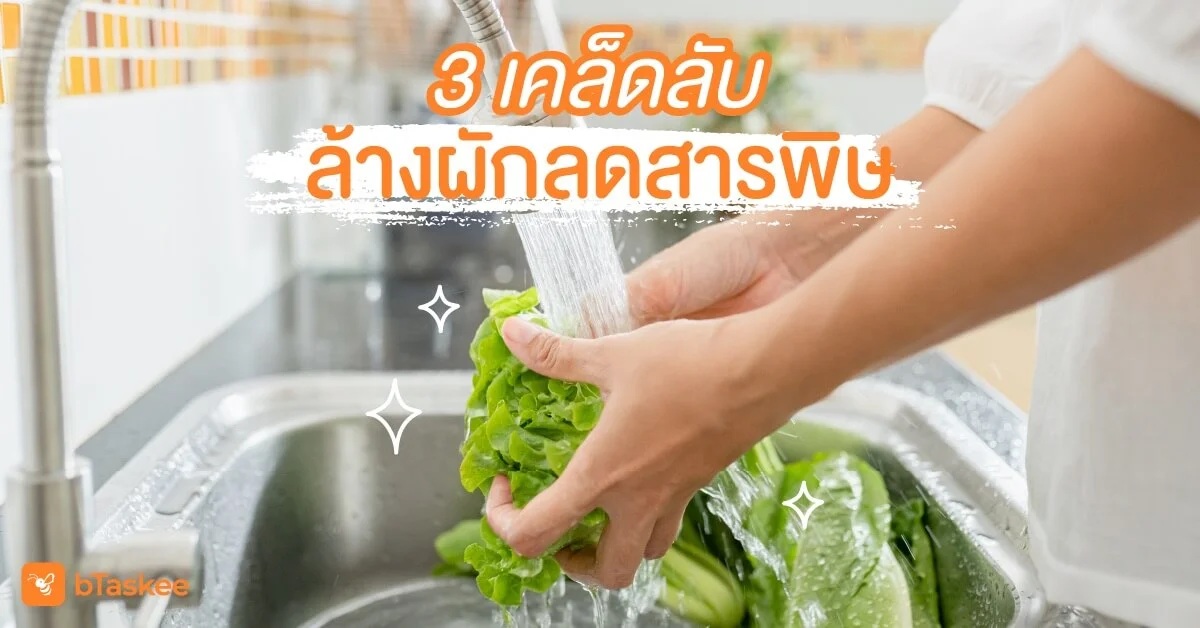 'ล้างผัก' ลดสารพิษด้วย 3 เคล็ดลับแสนง่าย!