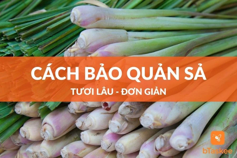 Cách Bảo Quản Sả Được Tươi Lâu Đơn Giản