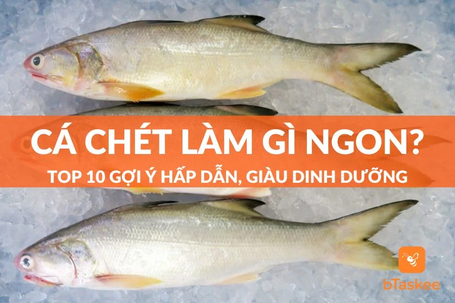 Cá Chét Làm Món Gì Ngon? Top 10 Gợi Ý Cực Hấp Dẫn