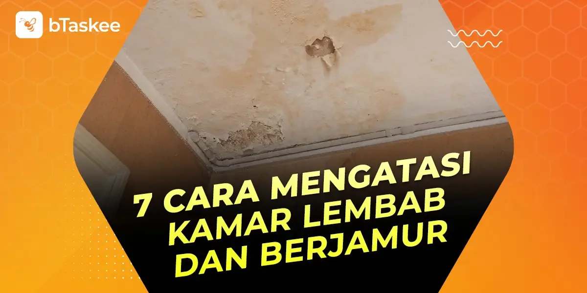 7 Cara Mengatasi Kamar Lembab dan Berjamur