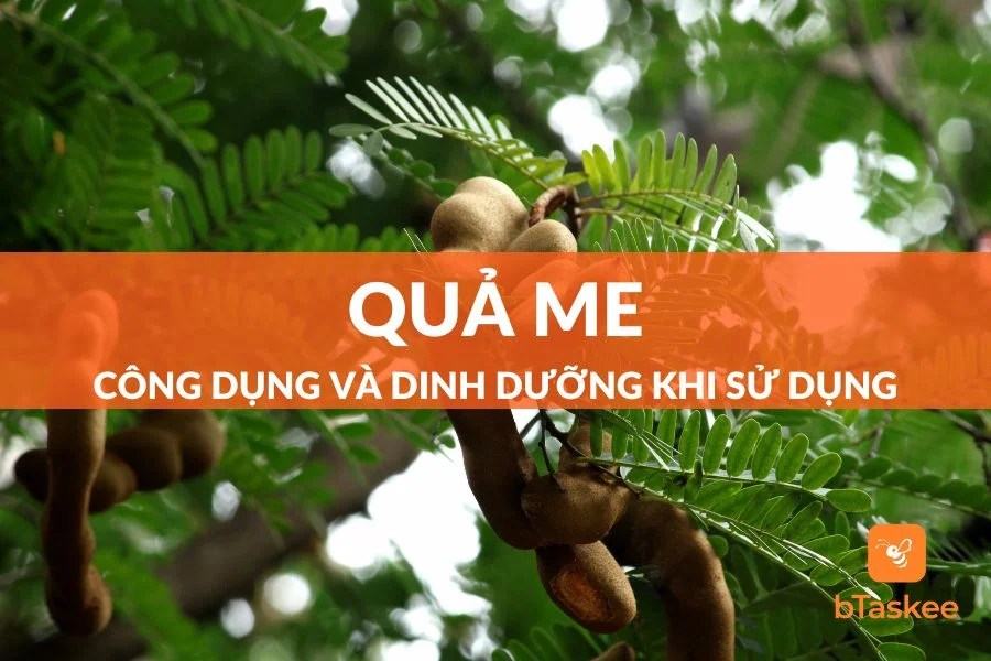 Quả Me: Thành Phần Dinh Dưỡng, Tác Dụng Và Những Lưu Ý