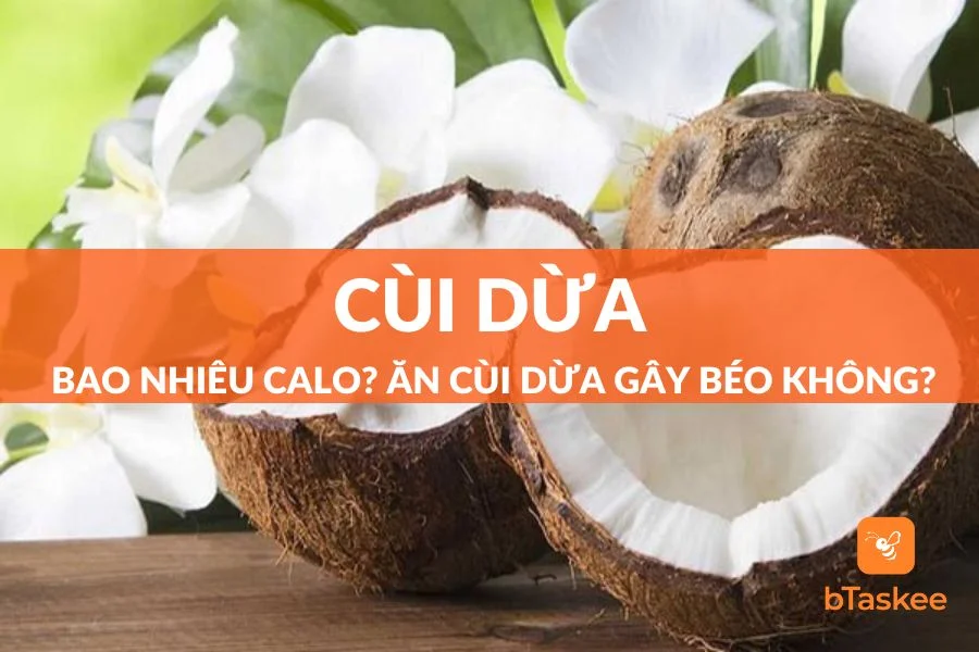 Cùi Dừa Bao Nhiêu Calo? Ăn Nhiều Cùi Dừa Có Mập (Béo) Không?