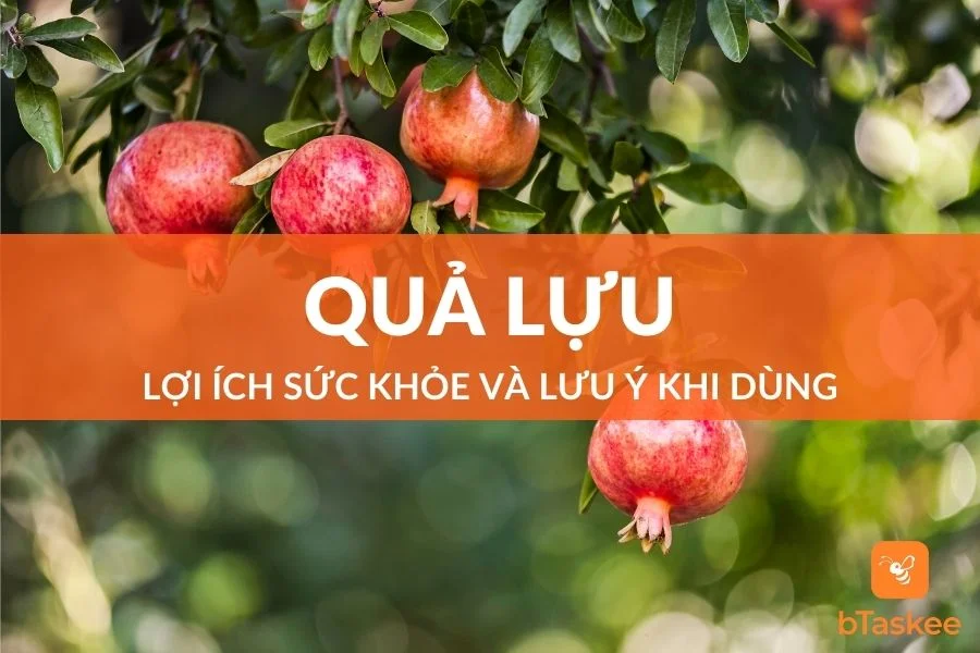 Quả Lựu: Lợi Ích Trong Sức Khỏe Và Lưu Ý Khi Sử Dụng