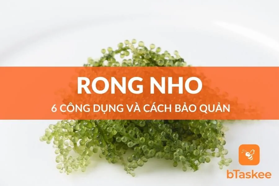 Rong Nho: 6 Công Dụng Hay Và Cách Bảo Quản Đúng Chuẩn