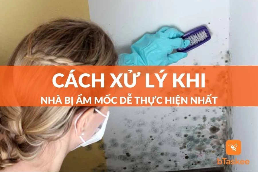 Cách Xử Lý Khi Nhà Bị Ẩm Mốc Đơn Giản Và Dễ Thực Hiện
