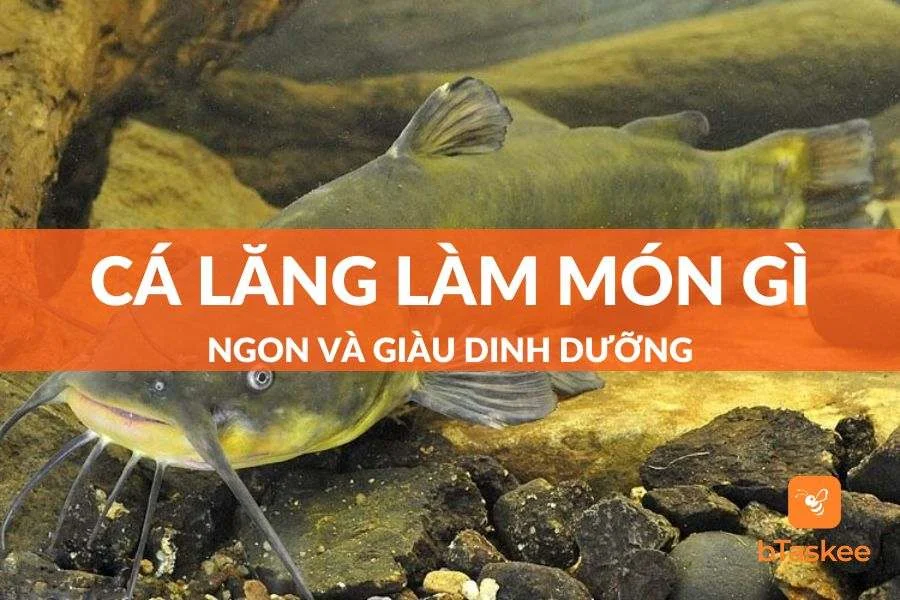 Cá Lăng Làm Món Gì Ngon? List 8 Món Ăn Ngon Chế Biến Từ Cá Lăng