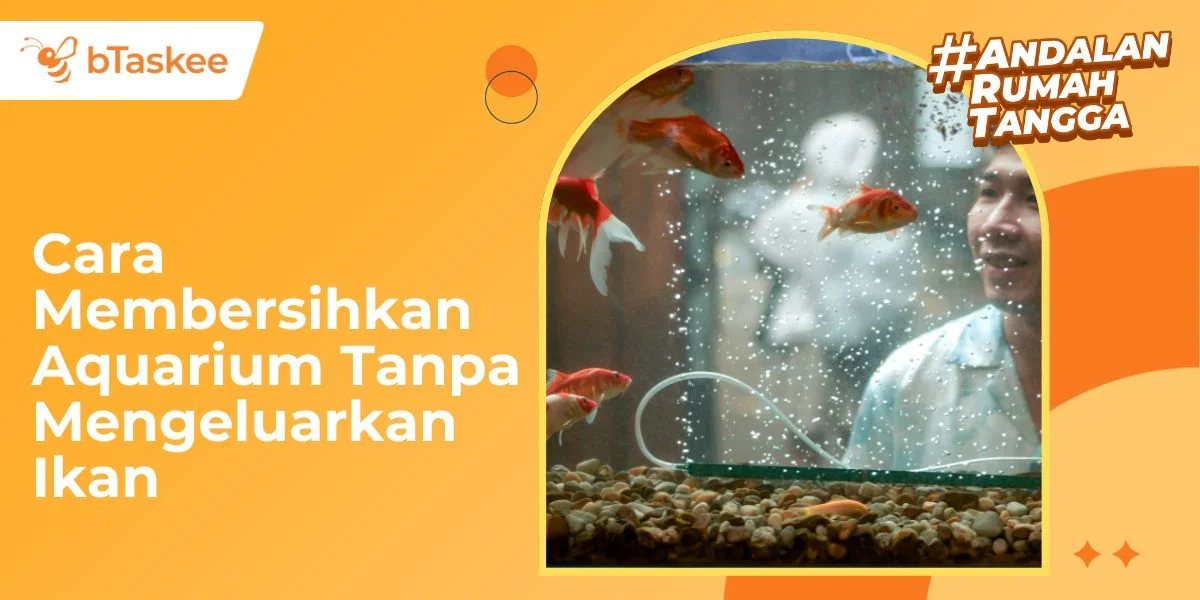 Cara Membersihkan Aquarium Tanpa Mengeluarkan Ikan