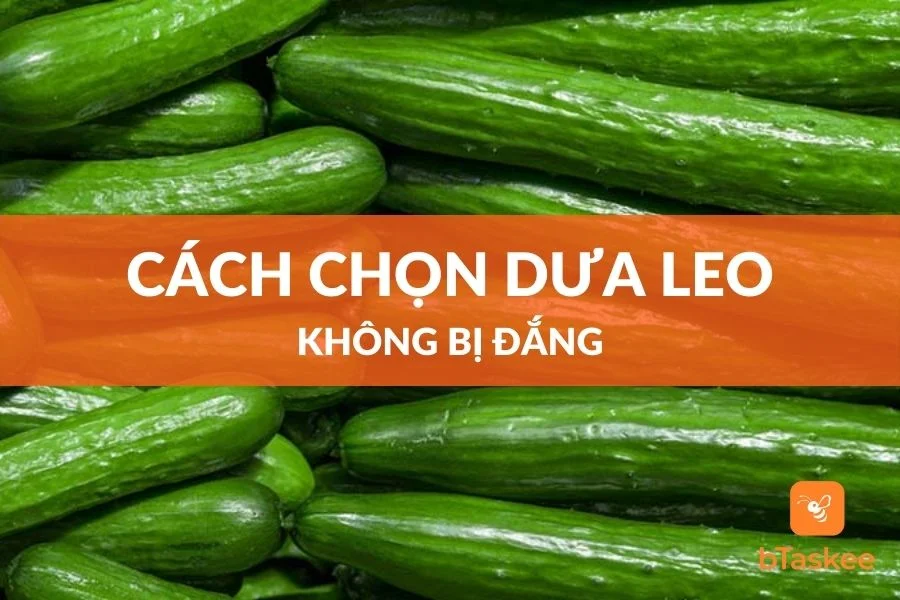 Cách Chọn Dưa Leo Ngon Không Bị Đắng Chát