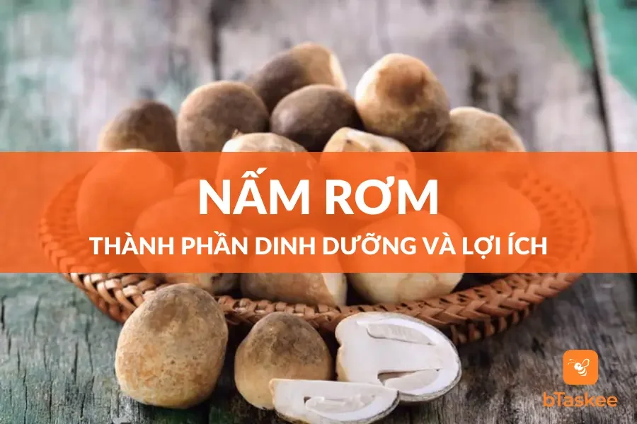 Nấm Rơm: Thành Phần Dinh Dưỡng Và Lợi Ích Sức Khỏe