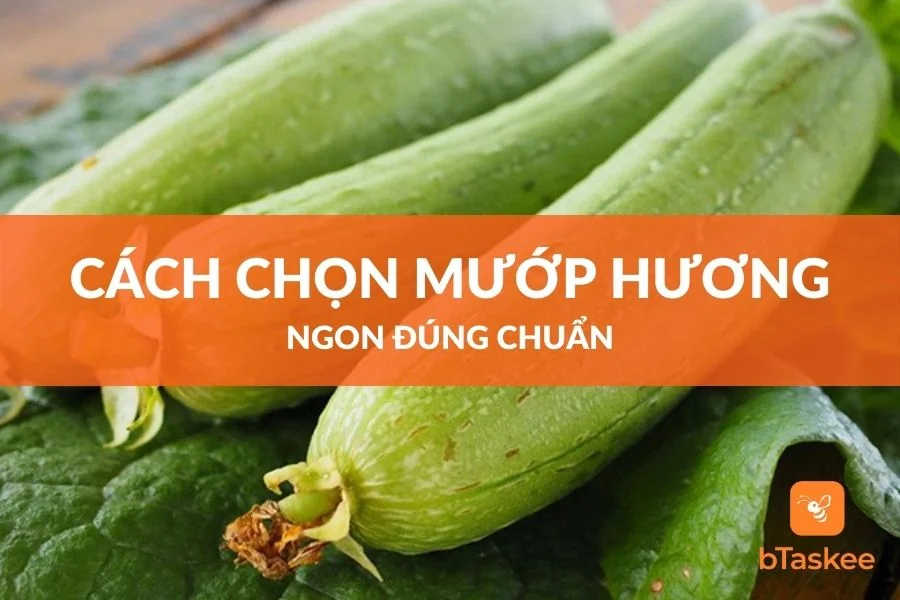 Cách Chọn Mua Và Chế Biến Mướp Hương Ngon Đúng Chuẩn