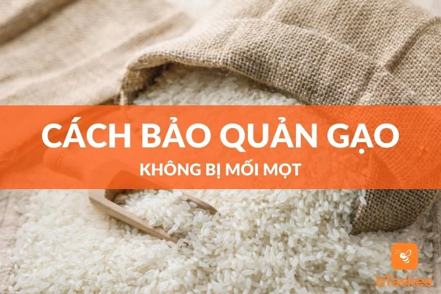 Cách Bảo Quản Gạo Lâu Hư, Không Bị Mối Mọt Hiệu Quả Nhất