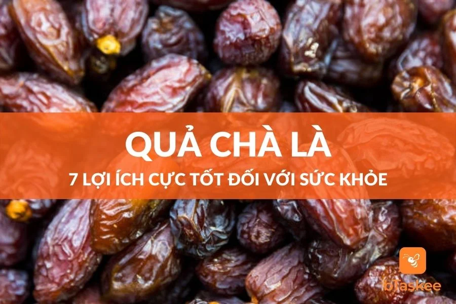 Quả Chà Là Và 7 Lợi Ích Cực Kỳ Tốt Đối Với Sức Khỏe