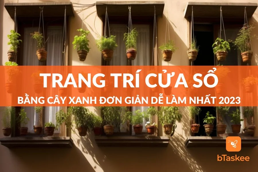 Mẹo Trang Trí Cửa Sổ Bằng Cây Xanh Đơn Giản Dễ Làm Nhất