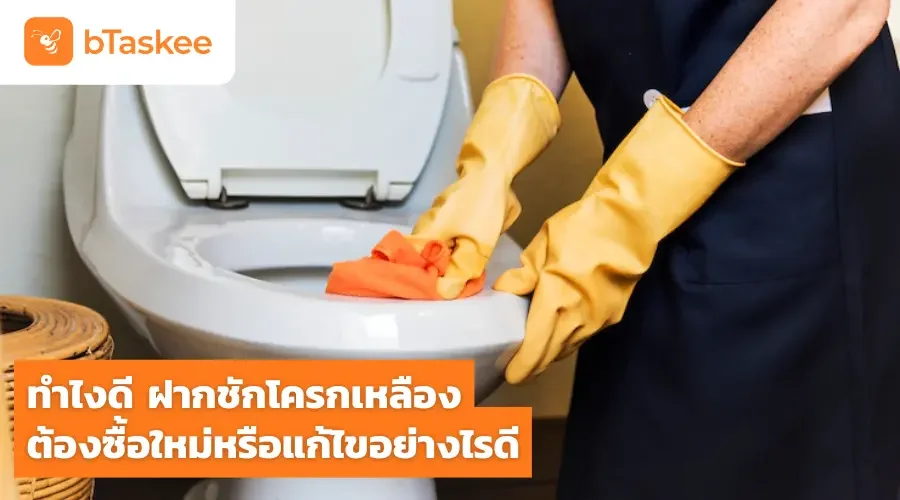 ทำไงดี ฝากชักโครกเหลือง ต้องซื้อใหม่หรือแก้ไขอย่างไรดี