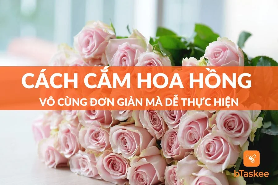 Cách Cắm Hoa Hồng Vô Cùng Đơn Giản Mà Dễ Thực Hiện