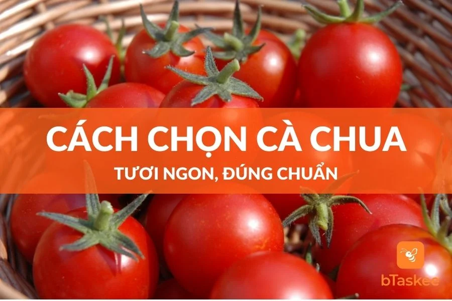 5 Cách Chọn Cà Chua Tươi Ngon, Đúng Chuẩn