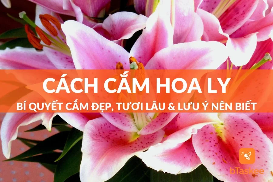 Cách Cắm Hoa Ly Đẹp, Tươi Lâu Và 5 Lưu Ý Cần Biết