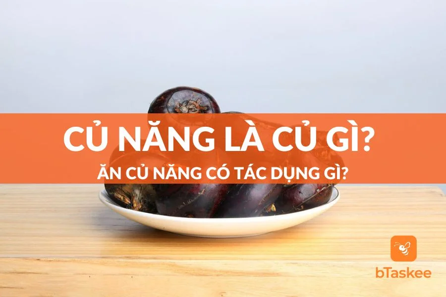 Củ Năng Là Củ Gì? Ăn Củ Năng Có Tác Dụng Gì Cho Sức Khỏe?