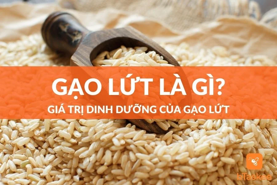 Gạo Lứt Là Gì? Giá Trị Dinh Dưỡng Của Gạo Lứt