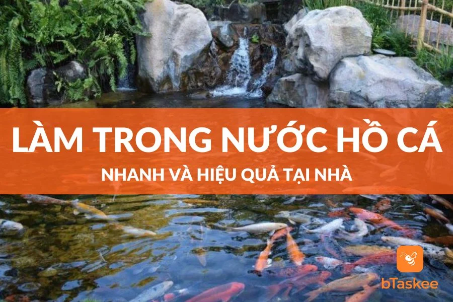 Cách Làm Trong Nước Hồ Cá Ngoài Trời Tại Nhà Hiệu Quả