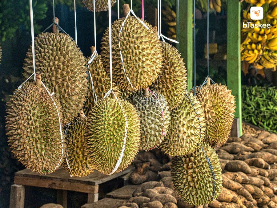 Cách Lựa Sầu Riêng Ngon, Đơn Giản Nhưng Cực Chuẩn