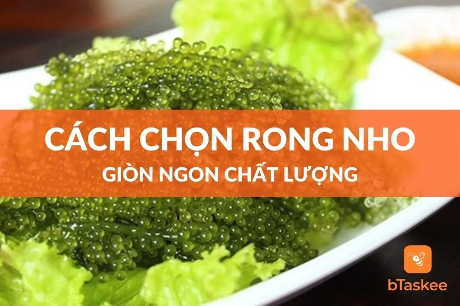 Cách Chọn Rong Nho Chất Lượng Đơn Giản Với 5 Mẹo Sau