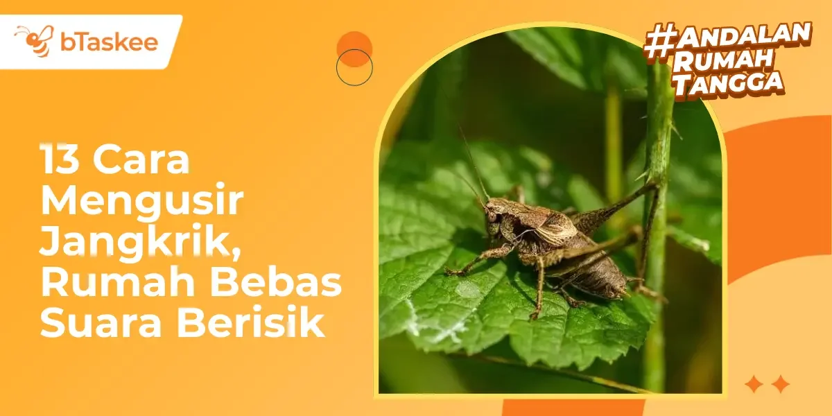13 Cara Mengusir Jangkrik, Rumah Bebas Suara Berisik