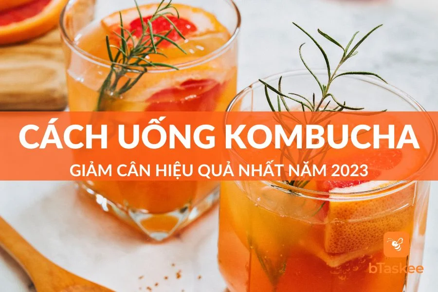 Bật Mí Cách Uống Kombucha Giảm Cân Hiệu Quả Nhất 2023