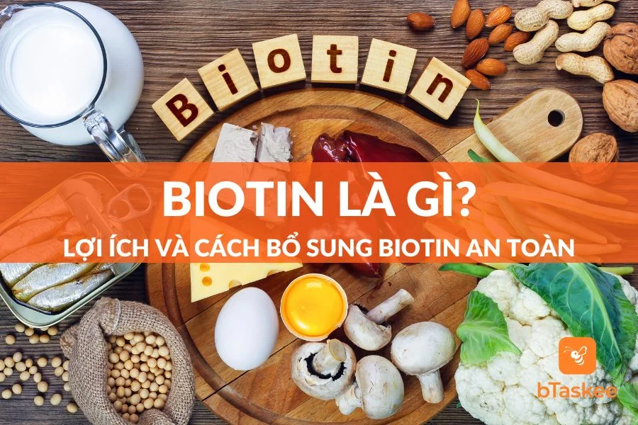 [Giải Đáp] Biotin Là Gì? Công Dụng Và Cách Bổ Sung Biotin An Toàn