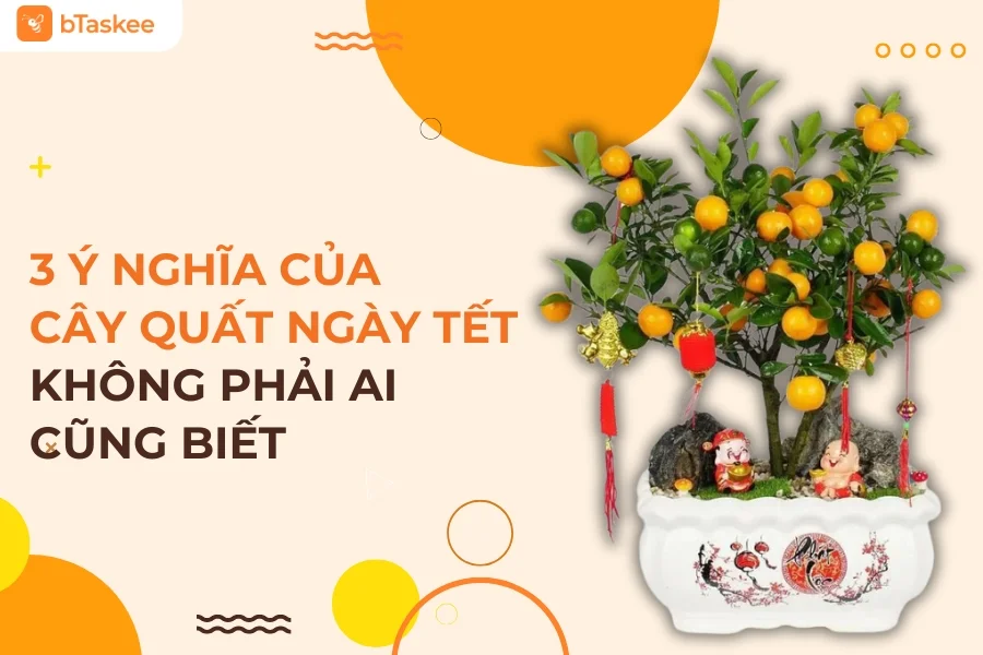 3 Ý Nghĩa Của Cây Quất Ngày Tết Không Phải Ai Cũng Biết