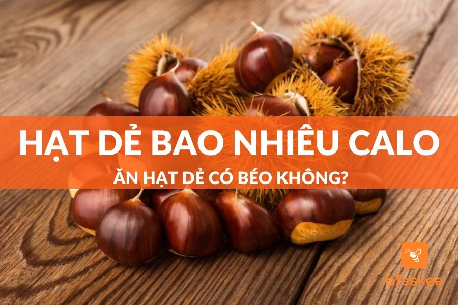 Hạt Dẻ Bao Nhiêu Calo? Ăn Hạt Dẻ Nhiều Có Mập (Béo) Không?