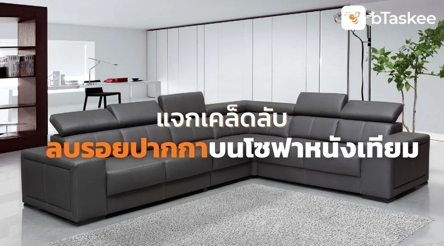 แจกเคล็ดลับ ลบรอยปากกาบนโซฟาหนัง ด้วยตัวเอง