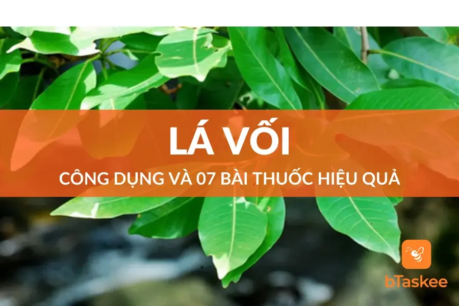 7 Tác Dụng Của Lá Vối - Vị Thuốc Chữa Bệnh Thần Kì