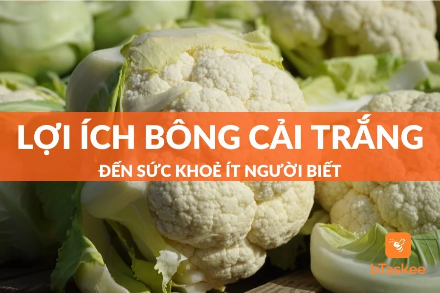 12 Lợi Ích Của Bông Cải Trắng Ít Người Biết