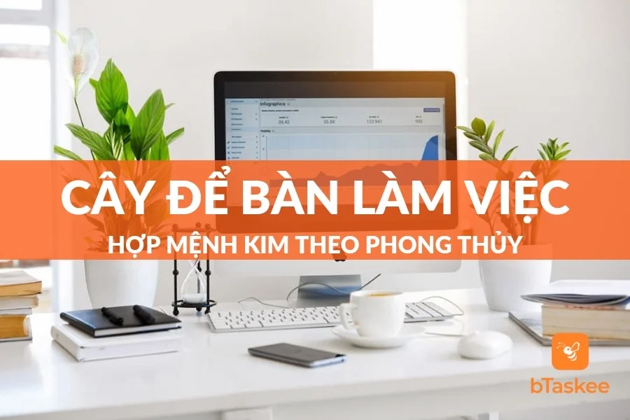 Top 10 Cây Để Bàn Làm Việc Hợp Mệnh Kim Theo Phong Thuỷ